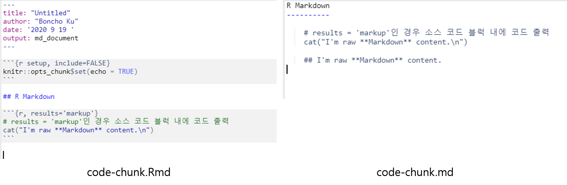 청크 옵션 results = 'markup'인 경우 rmd vs. md 파일 비교