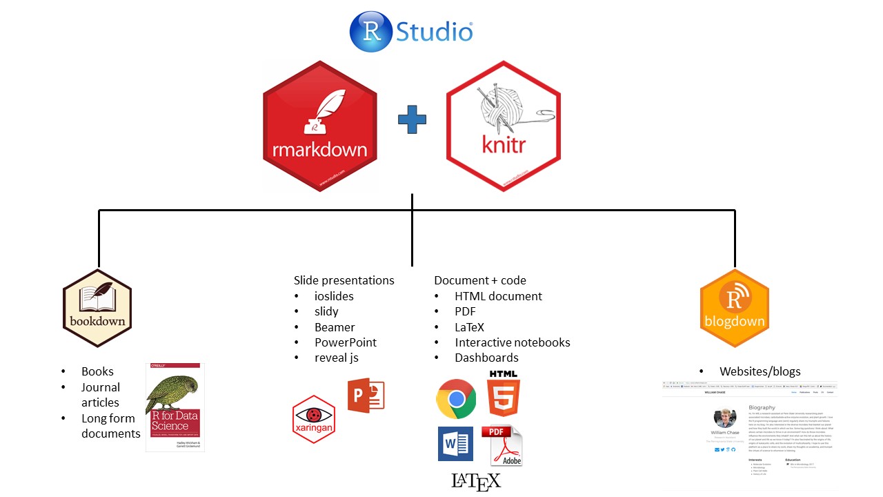 R markdown 세계(https://ulyngs.github.io/rmarkdown-workshop-2019 에서 발췌)