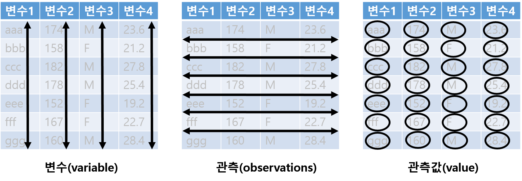 데이터의 구성 요소